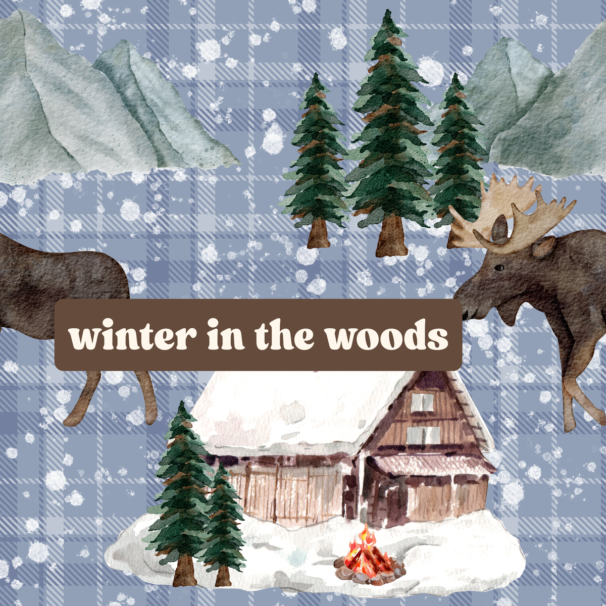 winter in the woods