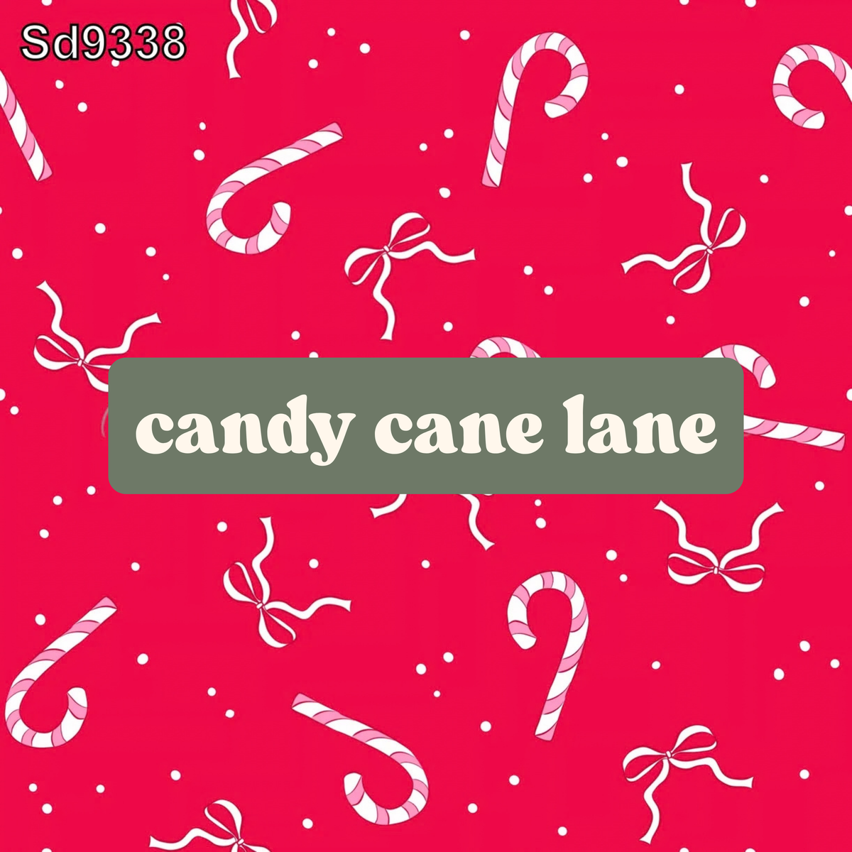candy cane lane