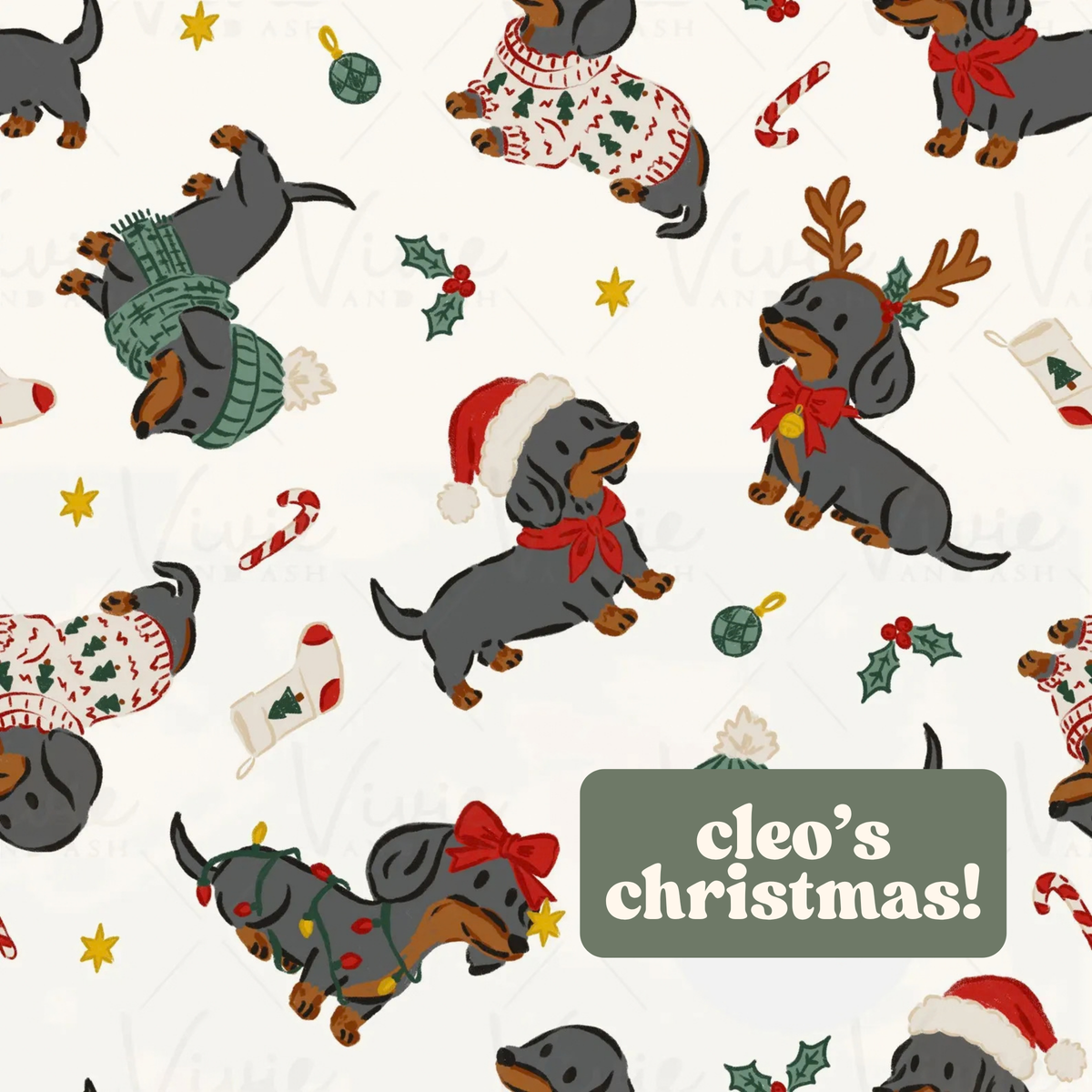 Cleo's Christmas
