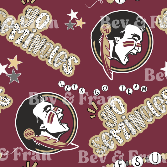 FSU Friendship Bracelet