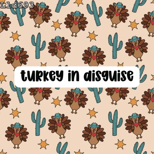 turkey in disguise + coord