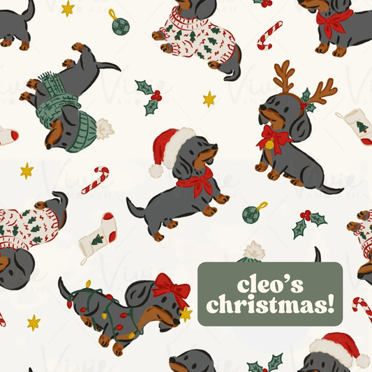 Cleo's Christmas