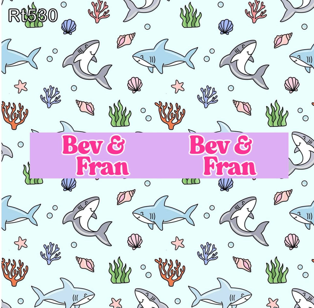 Sharks & Shells