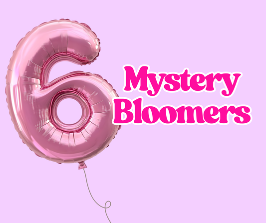 mystery bloomers